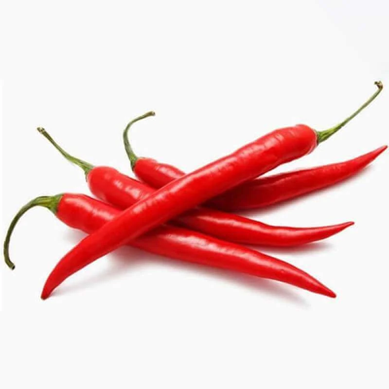 Chili (Capsicum)